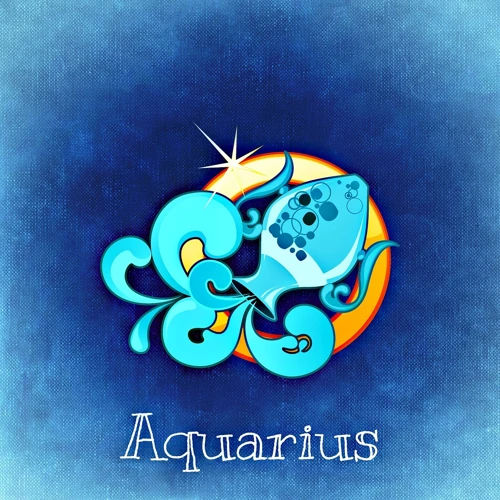 Aquarius (January 20 - February 18)