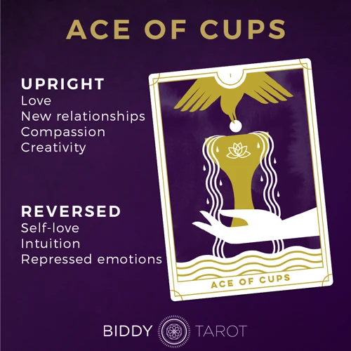 Meanings Of The Ace Of Cups