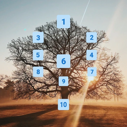 Step-By-Step Guide To Using The Tree Of Life Tarot Spread