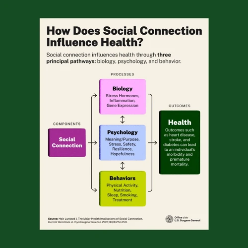 The Importance Of Social Connections