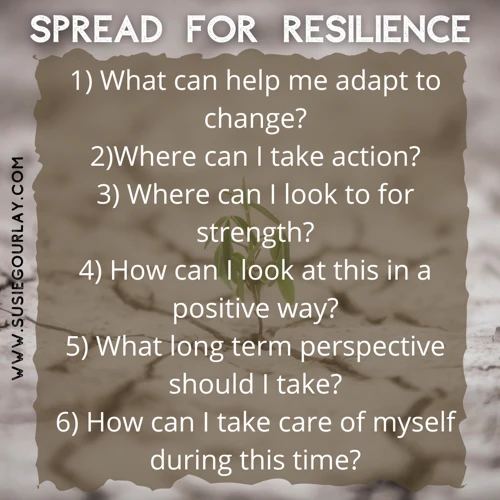 What Is Resilience?