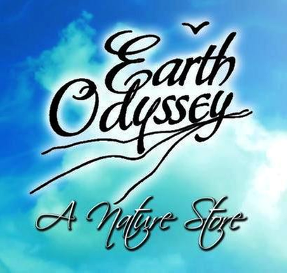 Photo of Earth Odyssey, french quarter, USA